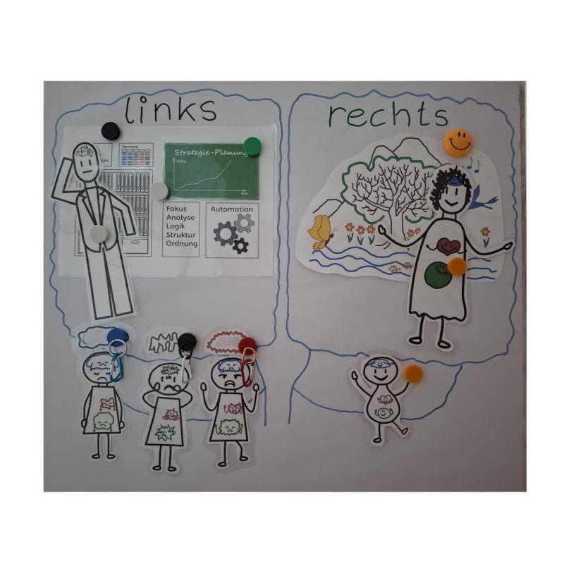 Gehirn-mit-Anteilen-o-Zentrum__35