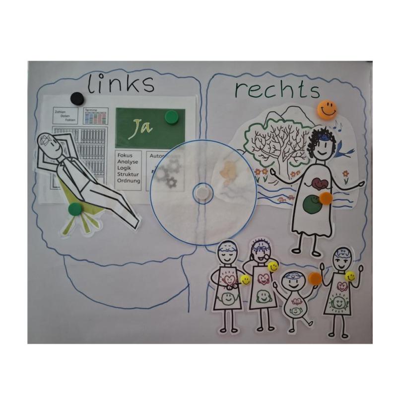 Gehirn-mit-Anteilen-o-alles__35